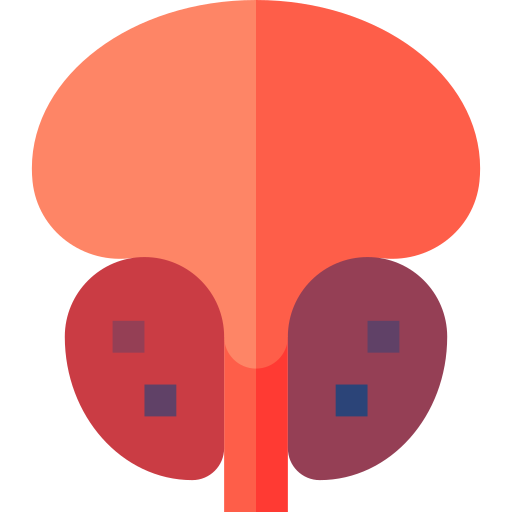 Prostate