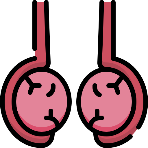 Testicular